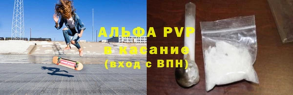 крисы Алзамай