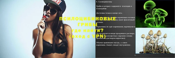spice Алексеевка