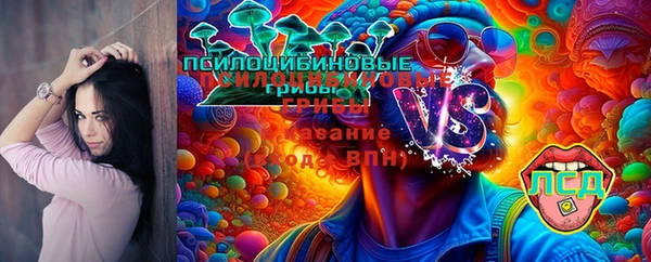 бутират Алексин